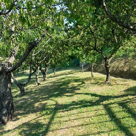 Feriehus Il Villino Mombaroccio